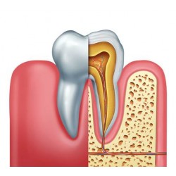 Logiciel DentalActs