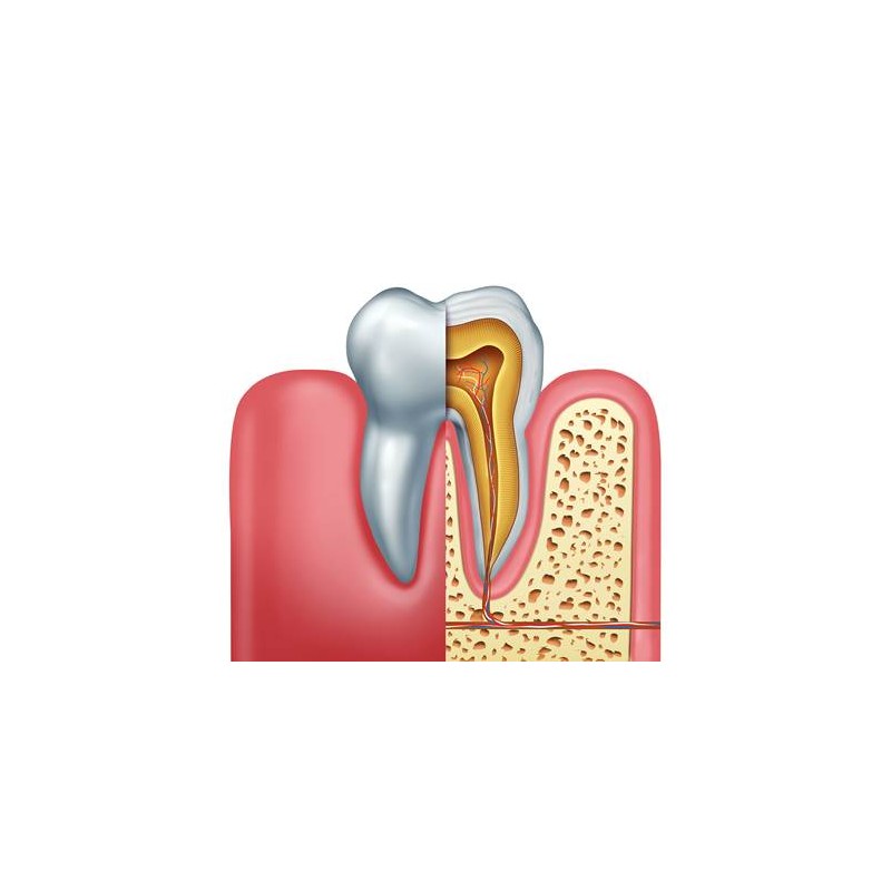 Logiciel DentalActs
