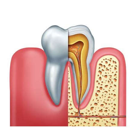 Logiciel DentalActs